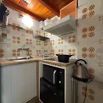 Genzianella By World *